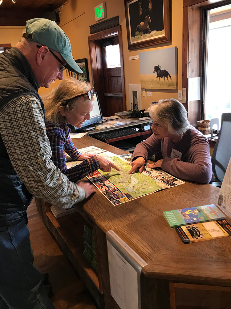 Services Visitor Info