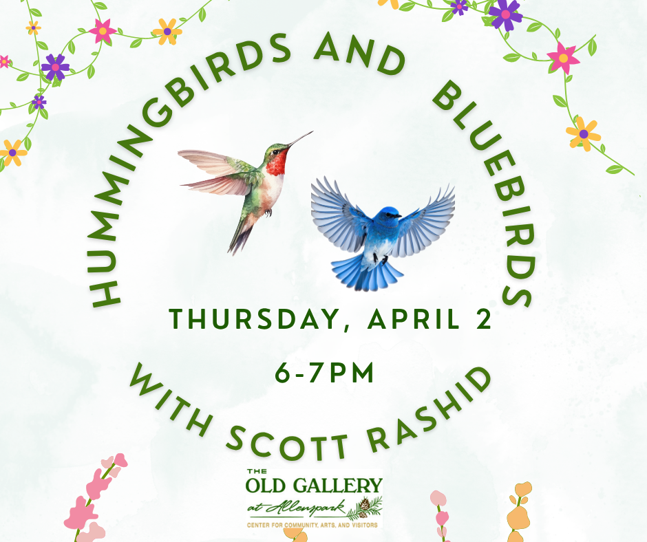 Hummingbirds and bluebirds (Facebook Post) (1)