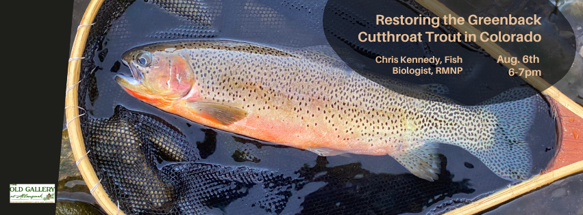 Greenback Cutthroat Trout